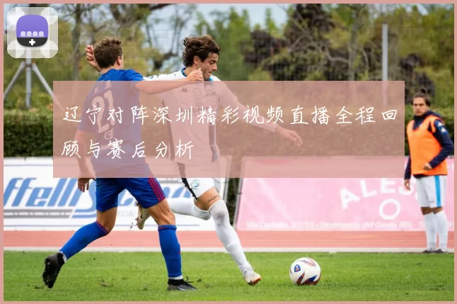 辽宁对阵深圳精彩视频直播全程回顾与赛后分析