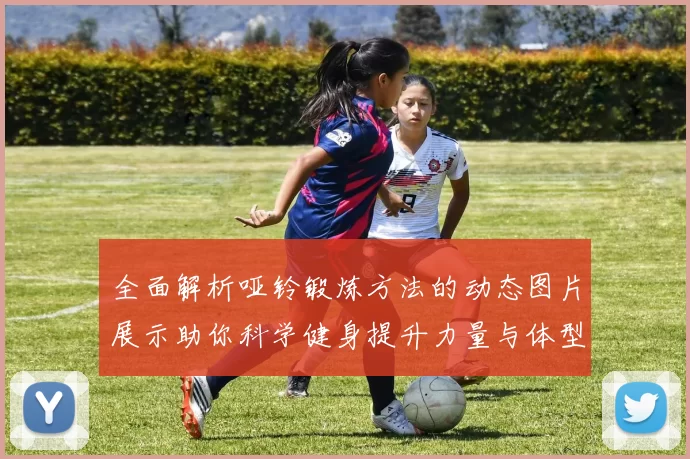 全面解析哑铃锻炼方法的动态图片展示助你科学健身提升力量与体型